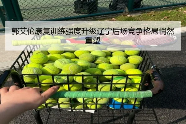 郭艾伦康复训练强度升级辽宁后场竞争格局悄然重塑